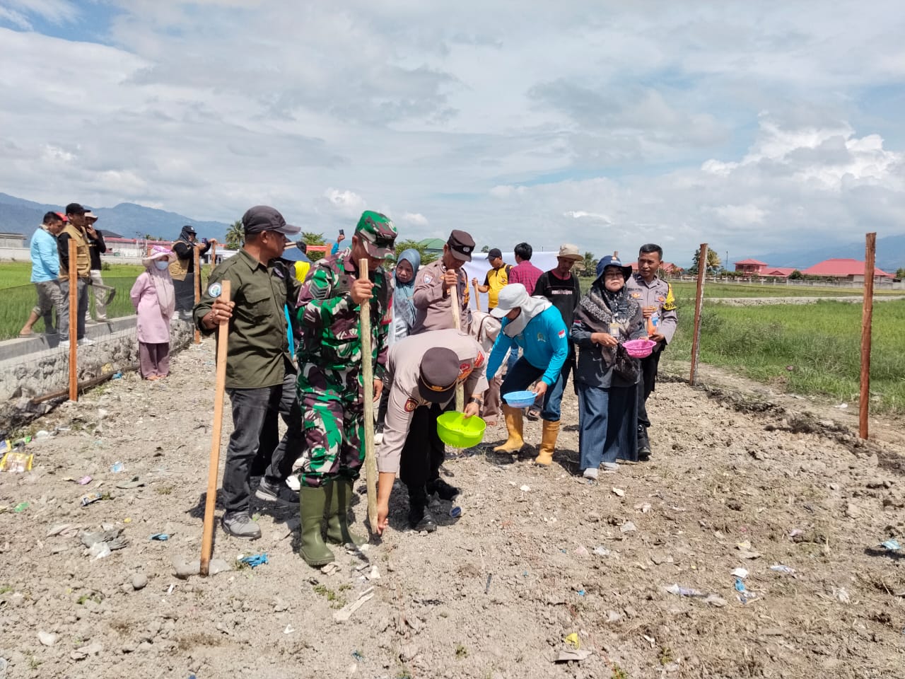 Penanaman Jagung Serentak, Program Ketahanan Pangan Desa Angkasa Pura Tahun 2025 Progresif lines, Com -KERINCI – Pemerintah Desa Angkasa Pura, Kecamatan Sitinjau Laut, Kabupaten Kerinci,bersama para pemangku kepentingan melaksanakan kegiatan penanaman jagung sebagai bagian dari program Ketahanan Pangan Nasional. Kegiatan ini berlangsung di lahan pertanian Desa Angkasa Pura,dengan melibatkan berbagai unsur terkait.Jum'at (17/10/25) Kegiatan acara penanaman jagung ini dihadiri oleh, Polsek Sitinjau Laut, Babinsa Sitinjau Laut,Camat Sitinjau Laut, Pendamping dari Pertanian dan pendamping desa beserta seluruh perangkat desa angkasa pura. Kepala Desa Angkasa Pura, Bapak Dasrinal,Menyampaikan bahwa penanaman jagung ini merupakan langkah nyata desa dalam mendukung Instruksi Presiden Nomor 10 Tahun 2025 Tentang Percepatan Swasembada Jagung di Indonesia. “Jagung merupakan komoditas strategis yang tidak hanya mendukung kebutuhan pangan, tetapi juga meningkatkan perekonomian masyarakat desa. Melalui program ketahanan pangan ini, kita ingin masyarakat lebih mandiri dan berdaya dalam mengelola potensi pertanian,” ujarnya. Sementara itu, pihak kecamatan dan aparat keamanan (Kapolsek dan Babinsa) menyatakan dukungan penuh, baik dalam aspek pendampingan maupun pengamanan kegiatan. Melalui program ini, Desa Angkasa Pura diharapkan mampu menjadi salah satu desa percontohan dalam pengembangan ketahanan pangan, sekaligus memperkuat sinergi antar-stakeholder dalam mewujudkan kemandirian dan kesejahteraan masyarakat.(Stn).