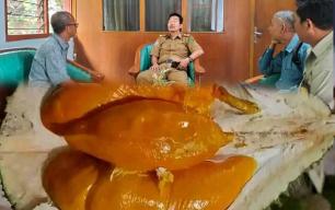 Muncul Varitas Durian Gold, LSM Pekat Bengkulu Koordinasi Dengan Dinas Pariwisata RL